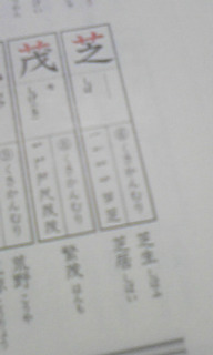 (untitled)