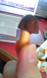 (untitled)