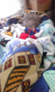 (untitled)
